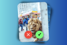 Fake OFF ist eine neue Landesinitiative der Landesregierung NRW.