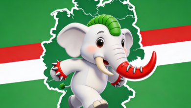 Mastodon Instanz für NRW.